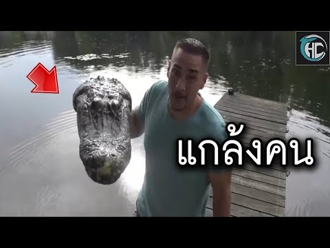 แกล้งคน จระเข้ (ปลอม) อย่างฮา 55+