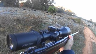 Western NSW hunt featuring the 'Beast Boar'.
