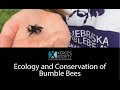 Ecology and Conservation Insights on Bumble Bees