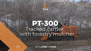 Video - PT-300 - FAE PT-300 tracked carrier with forestry mulcher - Brush clearing in Cochrane, Alberta (Canada)