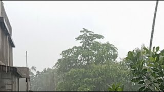 জয়নগর এখন খুব বৃষ্টি হচ্ছে
