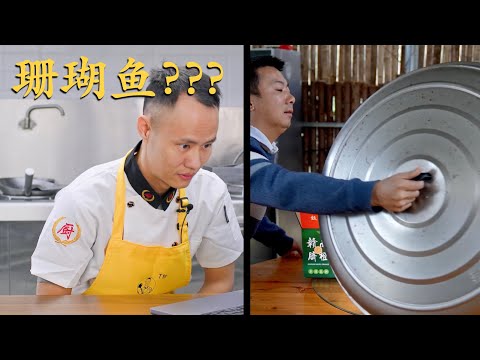 王刚再次震惊！华农又做珊瑚鱼，依然是创意十足😂