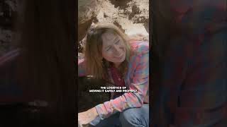 What’s Under That Rock? | The Curse of Oak Island | #shorts