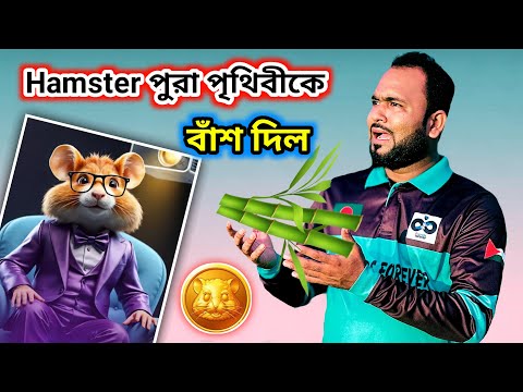 Hamster Kombat তারা কাজটা কি ভালো কর😡১০০% থেকে  ৯৯% বাঁশ আর ১ কোটিপতি। Tiger Riyad Tech