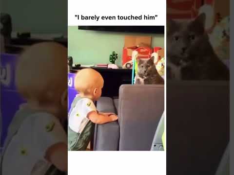 Cat and a baby