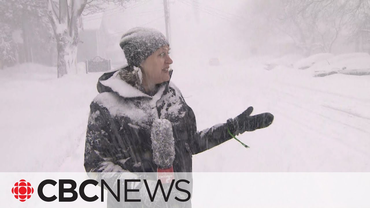 Snowstorm Buries Areas Around Lake Erie, Lake Ontario