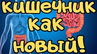 Кишечник как новый! Просто ешь это!