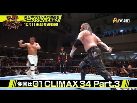 G1 CLIMAX 34 8.6&7後楽園【ワールドプロレスリターンズ】