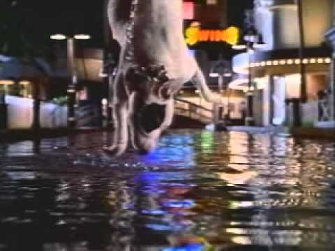 Babe: Pig in the City Trailer (1998)