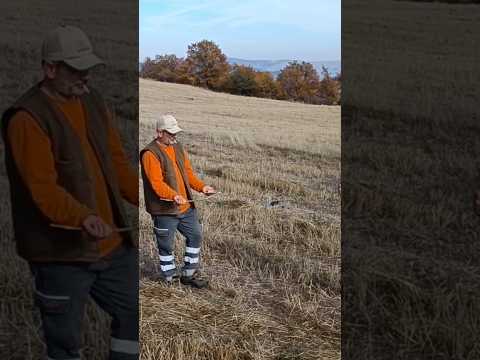 Su bulma anı. Eski usül Su kuyusu arıyoruz.Kepçeyle kazıyoruz ve sonuç!#viralvideo