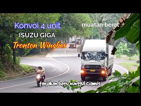 Konvoi 4 Isuzu Giga Wingbox Tronton