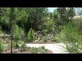Native Garden Project Insights