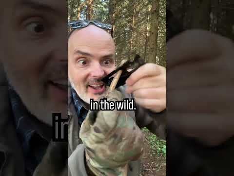 Never use this survival Tool or DIE! #survival