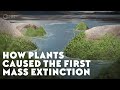 Early Terrestrial Plant Adaptations