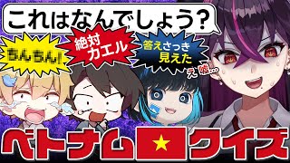 【おっP発狂中】全員ボケ担当、ツッコミ不在の大乱闘ベトナム🇻🇳クイズｗｗｗ【毒☆あきお/キムテス/あーずかい/おっP/毒ヶ衣ちなみ