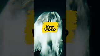 #hiphop #trailer #music #croatia #love #dance #balkan #new #MUSIC