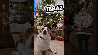 teraz vs rok temu