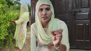 करौंदा की सब्जी कैसै बनाए। #vegetables #blog #blogger #bloging #vlog #vlogs #rajasthan #desi #bagdi