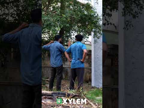 Super power | Xylem Class 8