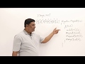Merge Sort Concepts and Techniques