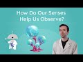 Exploring Alien Life and Observations