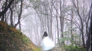 Swadlincote History #Ghost of the White lady 