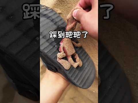 ¡Algo Se Pegó a Mi Pie! 😂🦶