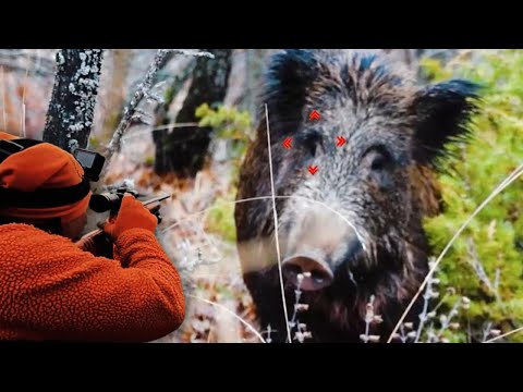 HEYECAN DOLU DOMUZ AVI / EXCITING WILD BOAR HUNT/ ARTTECH PRİMA SP#arttech #domuzavi #wildboar