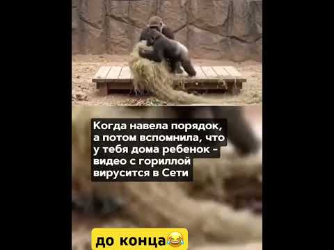 Всё как у людей😂