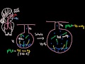 Water Vapor and Breathing Concepts