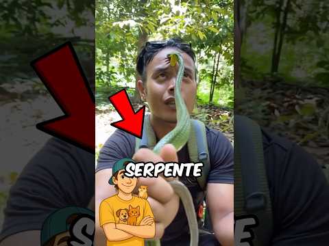 COME LIBERARSI DAL MORSO DI UN SERPENTE! 😱#shorts