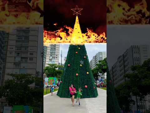 TIA RUTE E DAVI CONSEGUIRAM ESCAPAR 😳🎄 #davi #tiarutedavi #tiarute