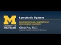 Lymphatic System and Spleen Functions