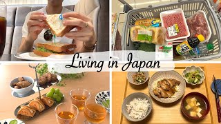 window shopping, a new cake stand, garlic soy sauce chicken for dinner | japan vlog