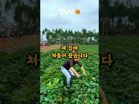 시골 내땅에 귀농하러온 하나뿐인 딸 #shorts #부부