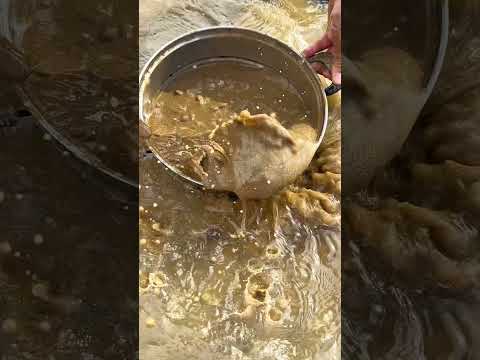 Digging in the Sand: Hunting for Baby Clams!