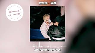 后视镜 - 罗言『我看着一排排的路灯穿过我的身体』【動態歌詞】