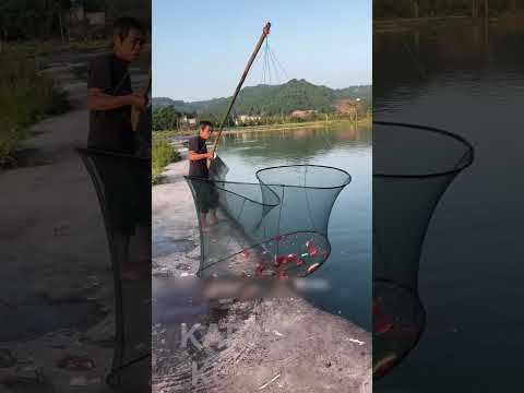 Balık Üstadı 😣🐠
