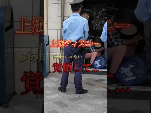 ちょっと想像と違った部分はあるけど、行ってみた方が強くなれますw #海外旅行 #上海ディズニー #中国 #disney #shanghai #海外ひとり旅