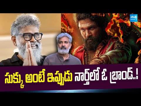 సుక్కు అంటే ఇప్పుడు నార్త్‌లో ఓ బ్రాండ్‌..! | Sukumar Bigger Then Rajamouli..? | Pushpa2 Collections