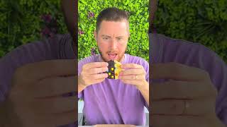 2 Flavors In 1: The Ultimate Ice Cream Hack! 🍦🔄