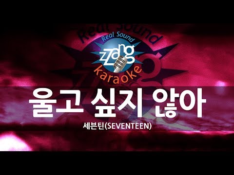 [짱가라오케/원키/노래방] 세븐틴(SEVENTEEN)-울고 싶지 않아 (Don’t Wanna Cry) KPOP Karaoke [ZZang KARAOKE]