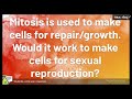 Mitosis and Meiosis Comparison Challenge