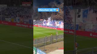Weltklasse-Support der Löwen-Fans in Köln #1860 #sechziger #löwen #fans #passion