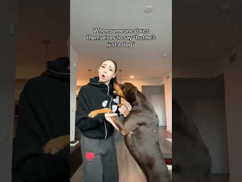 In fact…HIM is NOT just a dog, that’s my child on my soulllllll😄. #viral #funny #funnyvideos #dogs