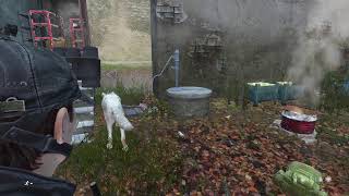 DAYZレイド配信