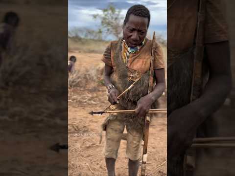 আদিবাসীরা কিভাবে তীর তৈরি করে দেখুন | Hedzba Tribe