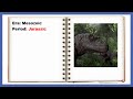 Dinosaurs and Mesozoic Era Concepts