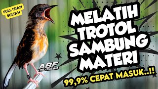 Di jamin masuk ! MASTERAN MURAI BATU TROTOL FULL ISIAN TEMBAKAN MEWAH‼️