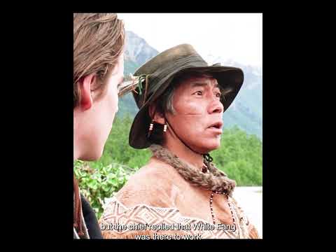 To Survive the Greed of the Gold Rush, He Had to Trust The One Creature Everyone Feared: A Wolf